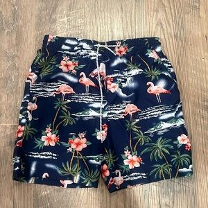 SSLR Boy’s Blue Flamingo Print Swim Short’s Size Large